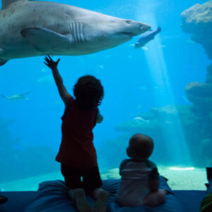 Palma Aquarium