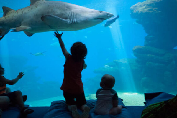 Palma Aquarium