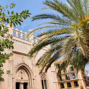 Palma Hop-On Hop-Off Bustour