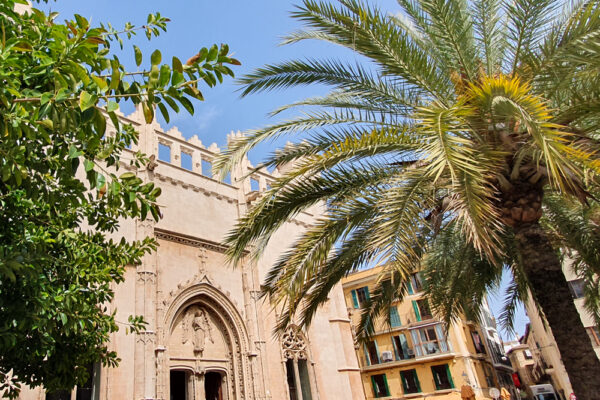 Palma Hop-On Hop-Off Bustour