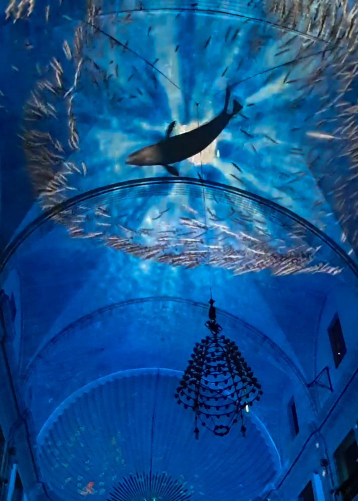 Elements Palma – Immersive Lichtshow